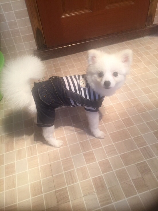 ����ܻ�����̩�Ͼ���