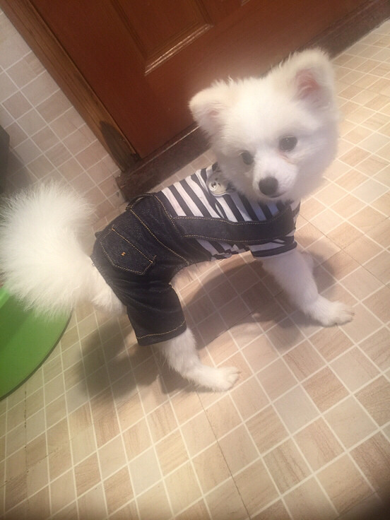 ����ܻ�����̩�Ͼ���