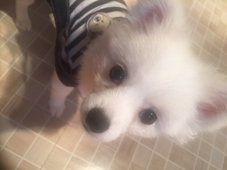 ����ܻ�����̩�Ͼ���