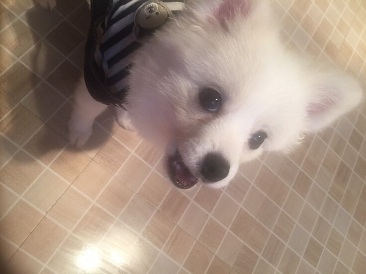 ����ܻ�����̩�Ͼ���