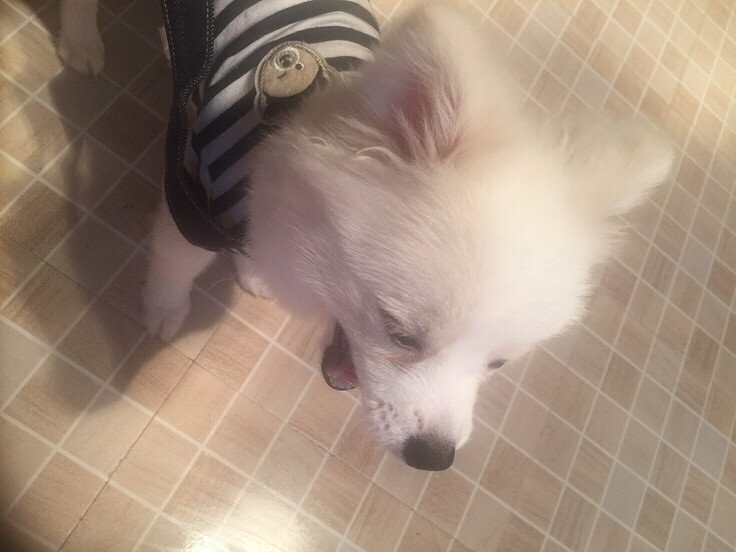 ����ܻ�����̩�Ͼ���