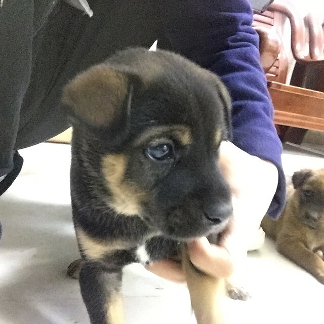 �л���԰Ȯ����������ϵ��