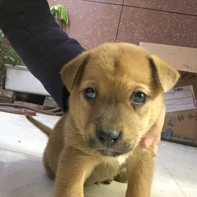 �л���԰Ȯ����������ϵ��