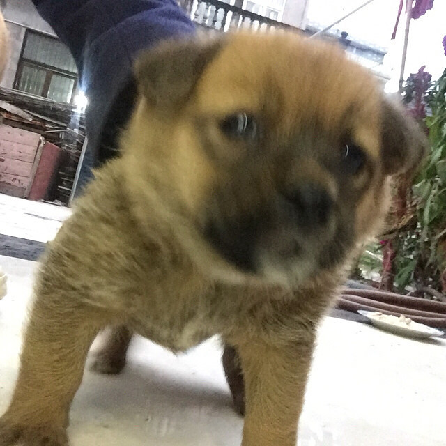 �л���԰Ȯ����������ϵ��