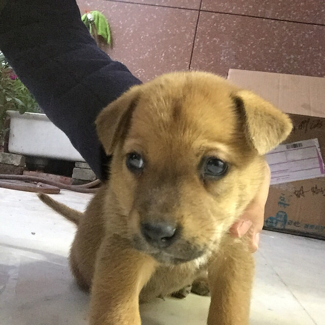 �л���԰Ȯ����������ϵ��