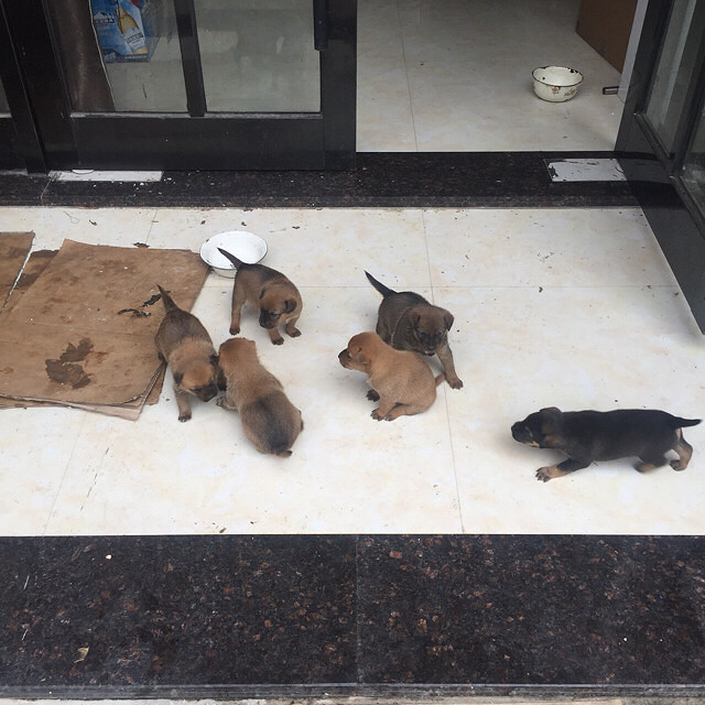 �л���԰Ȯ����������ϵ��