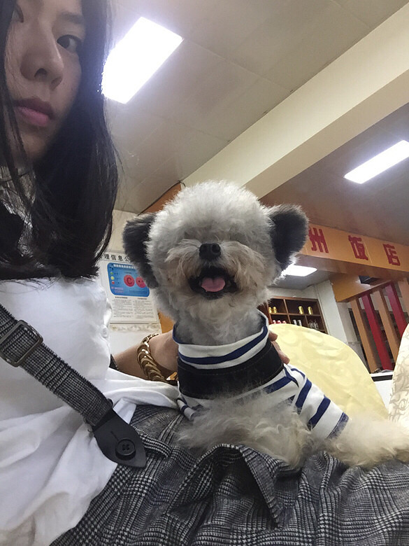 ̨��·��17�߷ɶ���ɫ̩�϶�������