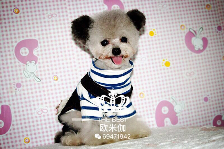 ̨��·��17�߷ɶ���ɫ̩�϶�������