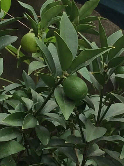 ��������������˻��й��ӣ���۽��꿴����