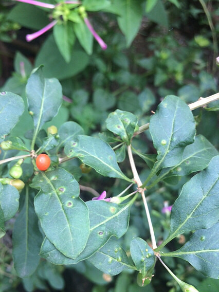 ��������������˻��й��ӣ���۽��꿴����