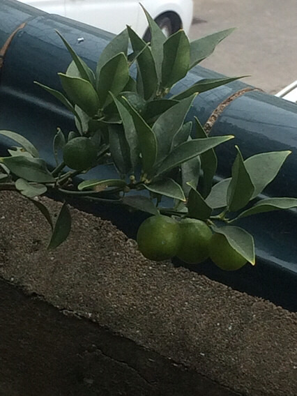 ��������������˻��й��ӣ���۽��꿴����