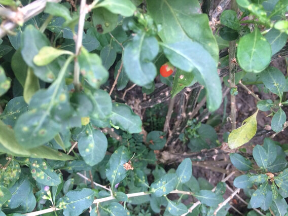 ��������������˻��й��ӣ���۽��꿴����