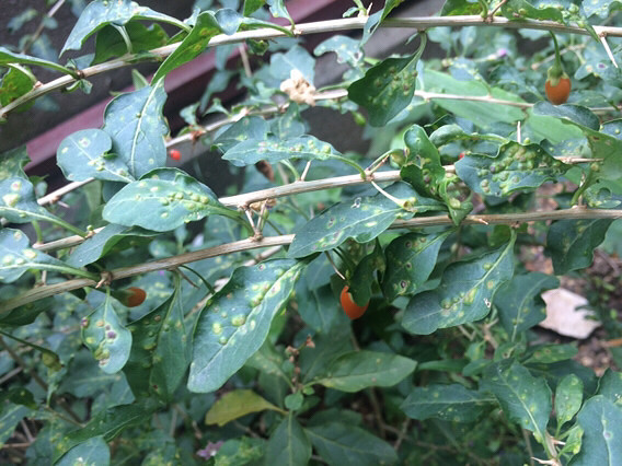 ��������������˻��й��ӣ���۽��꿴����