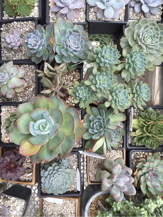 ��ϲ������