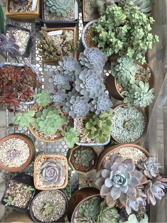 ��ϲ������