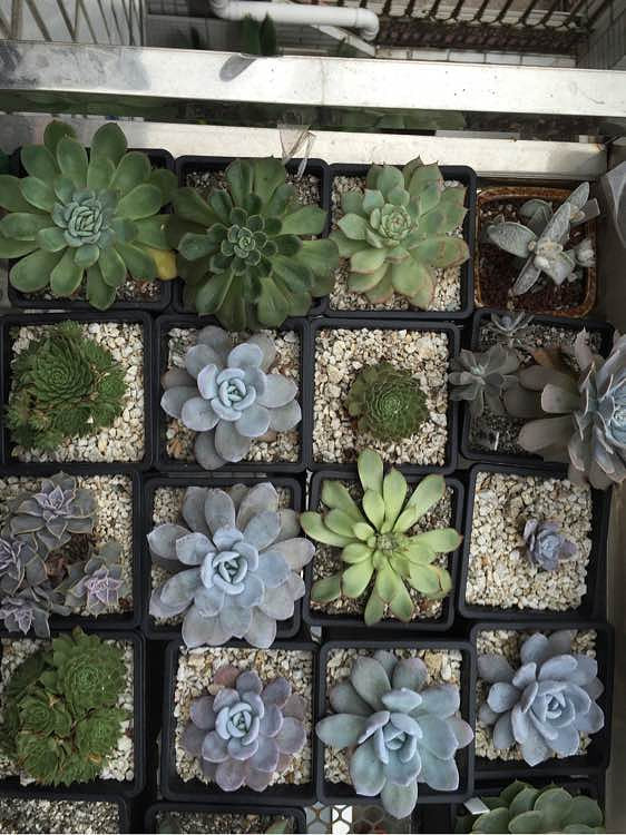 ��ϲ������