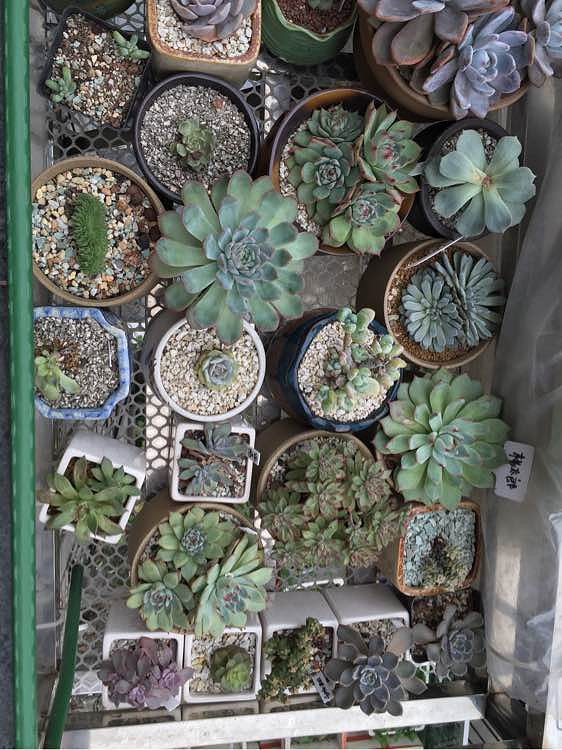 ��ϲ������