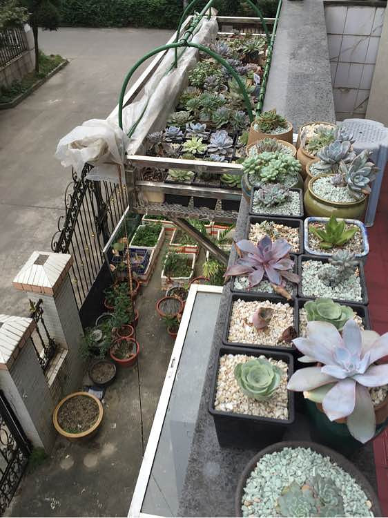 ��ϲ������