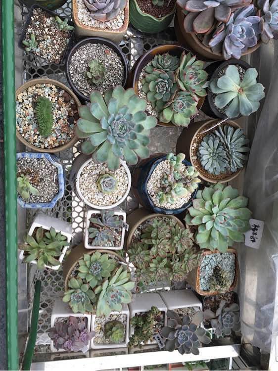 ��ϲ������