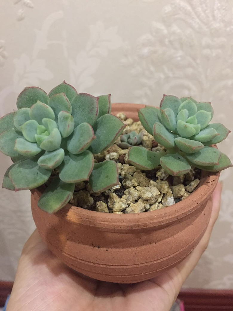 ���������������������!