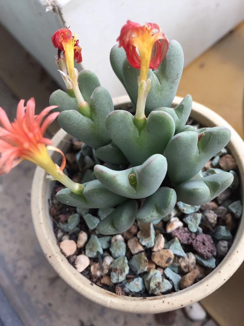 ���������������������!