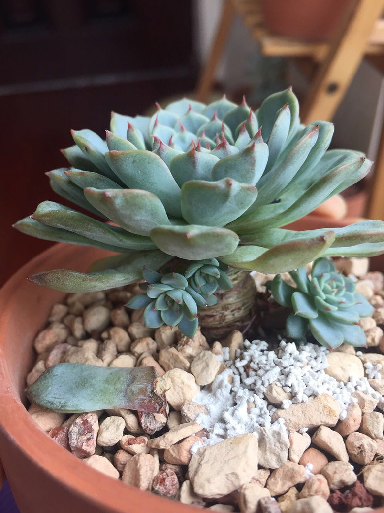 ���������������������!