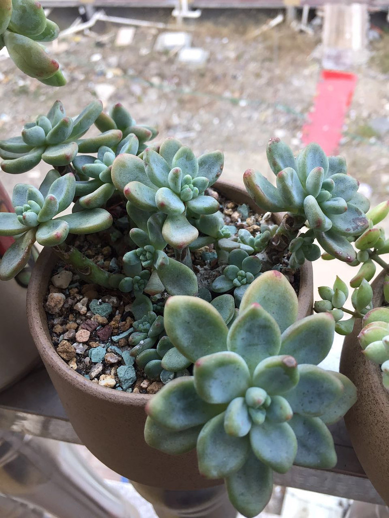 ���������������������!