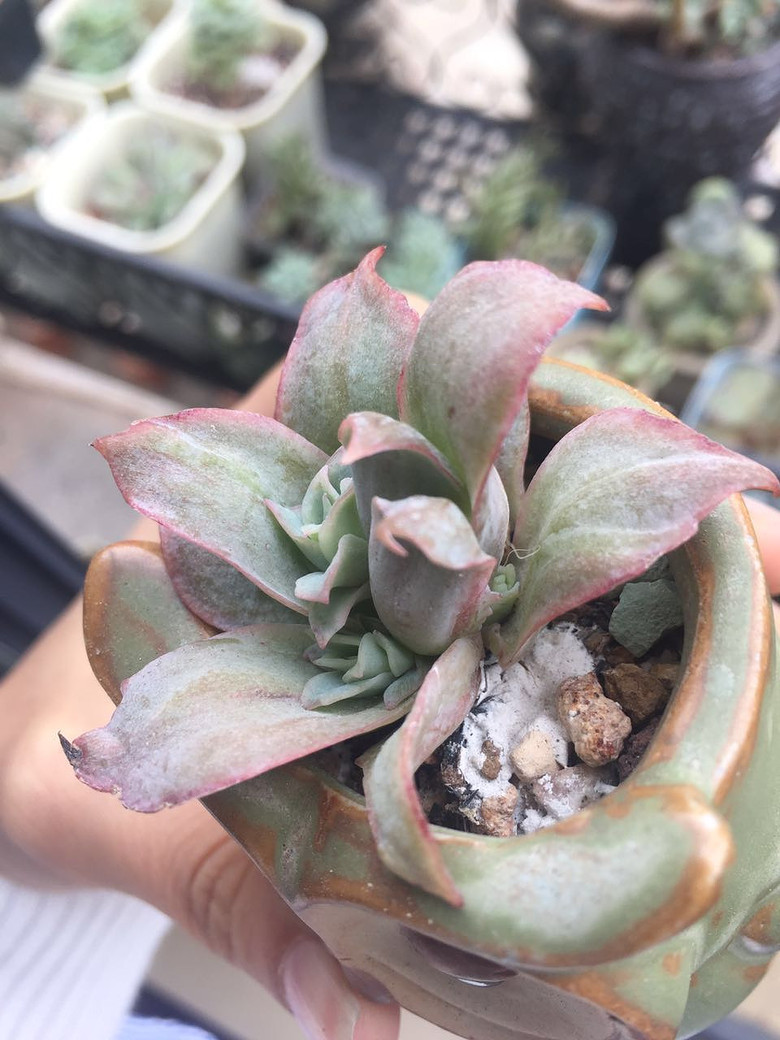 ���������������������!