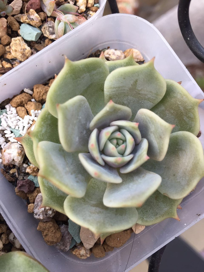 ���������������������!