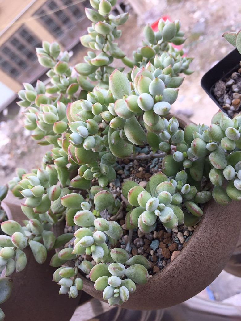 ���������������������!