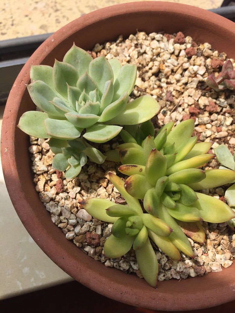 ���������������������!