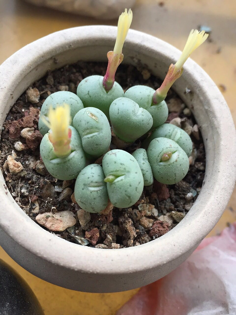 ���������������������!