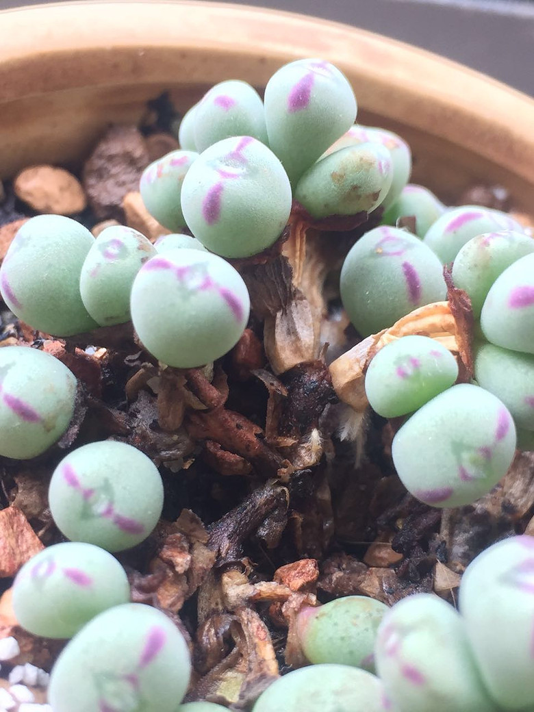 ���������������������!