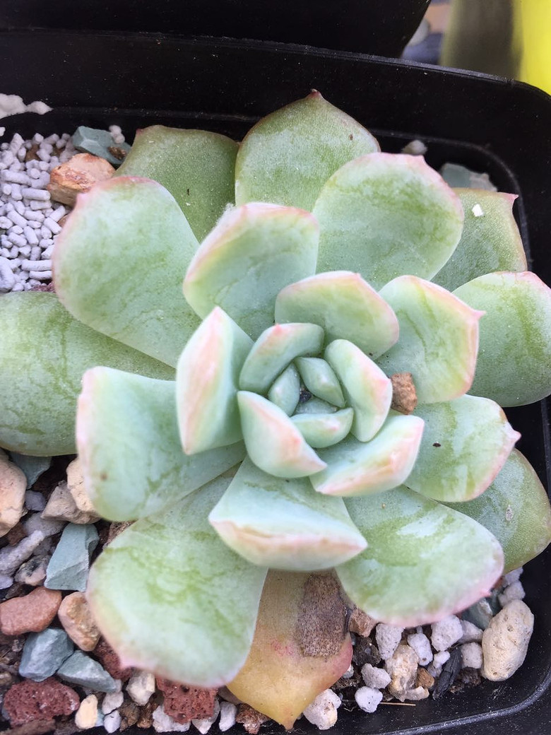 ���������������������!