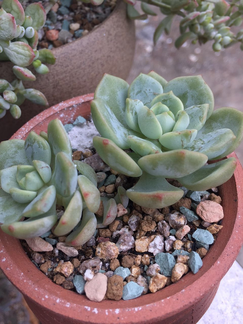 ���������������������!