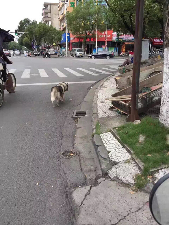 ���Ѽҹ�ʿ���߶��˴�Ұ��æ�������Ļ�������