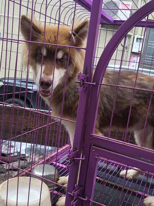 �������ˣ��������ˣ����ﲻ����