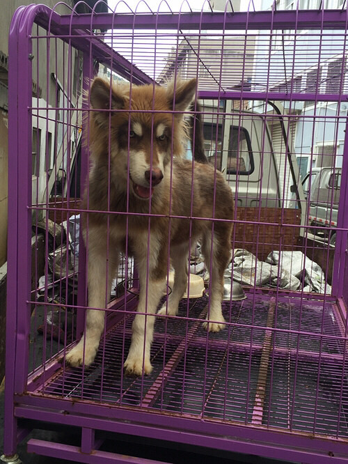 �������ˣ��������ˣ����ﲻ����