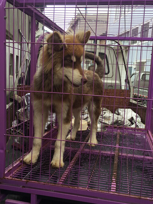 �������ˣ��������ˣ����ﲻ����