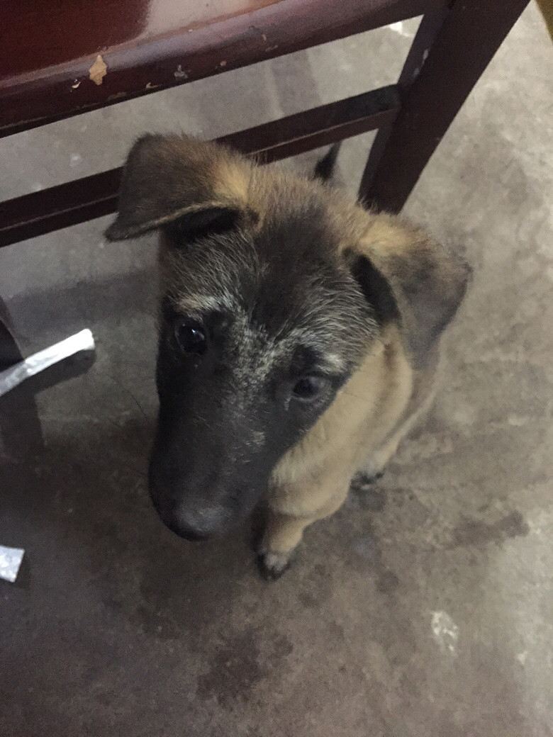 �������㡿��ֻ���ȵ���԰Ȯ