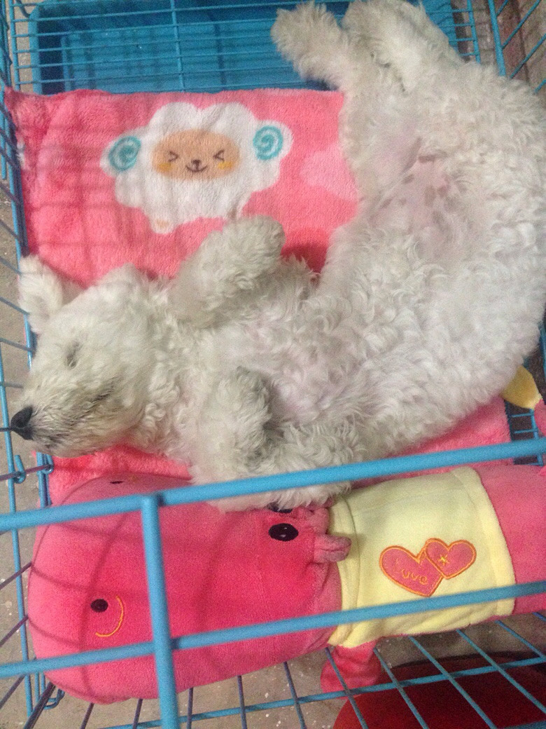 �Ҷ�˯�������ӣ���Գ�Ե�