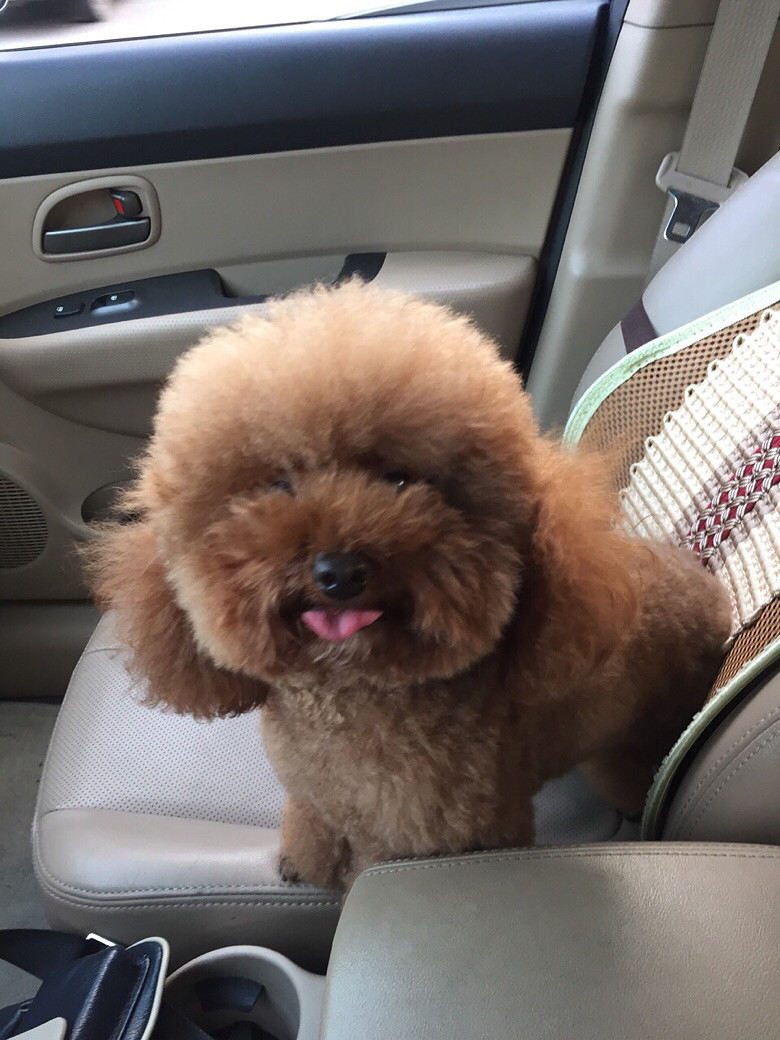 ������С�����ȥ��