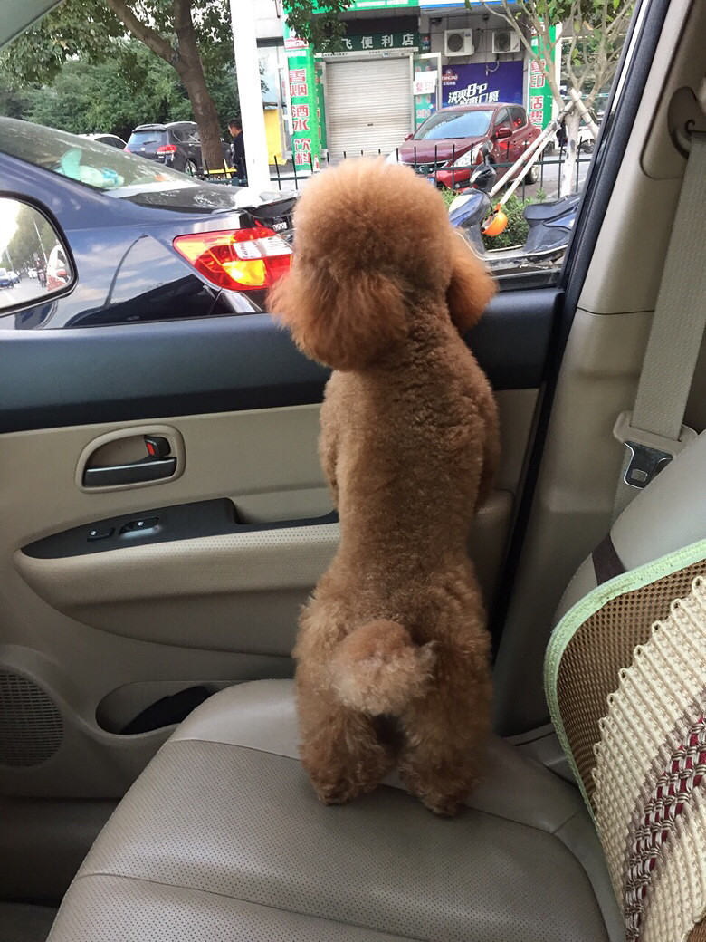 ������С�����ȥ��