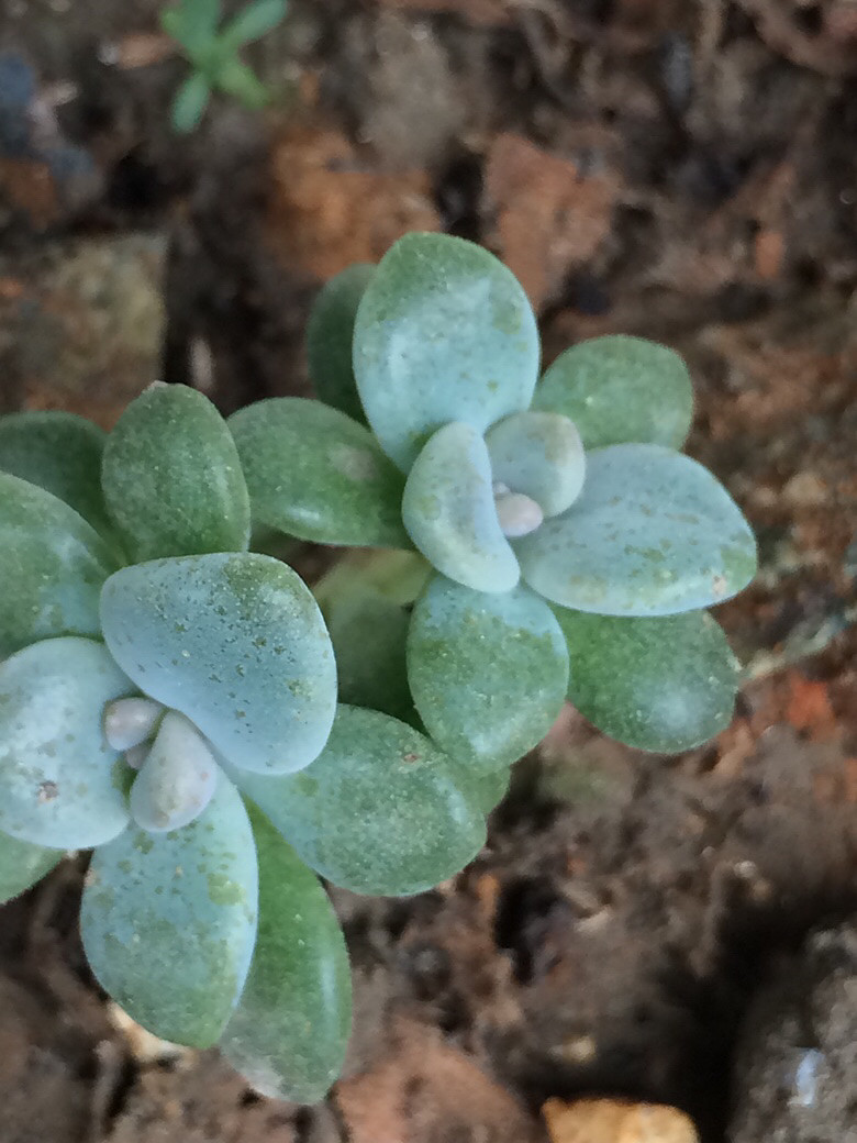 ����֮��������ˣ����ź���Ŷ��