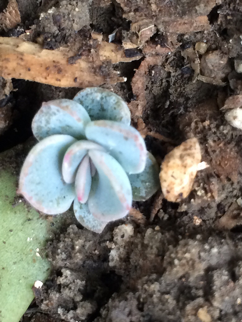 ����֮��������ˣ����ź���Ŷ��