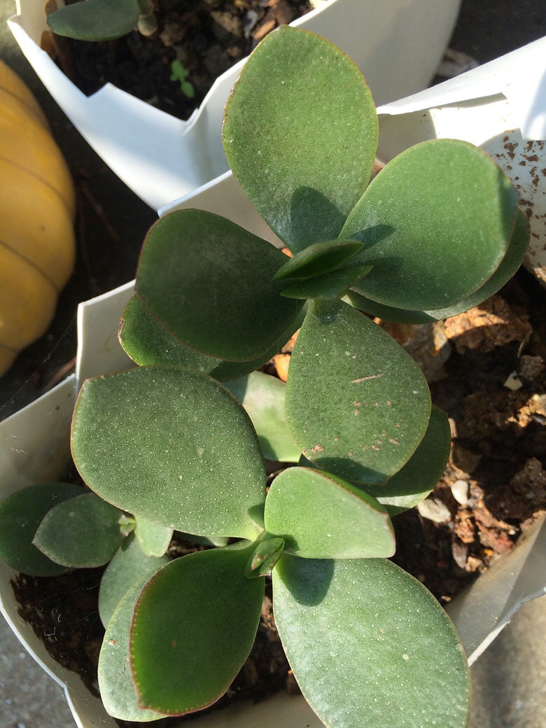 ����֮��������ˣ����ź���Ŷ��