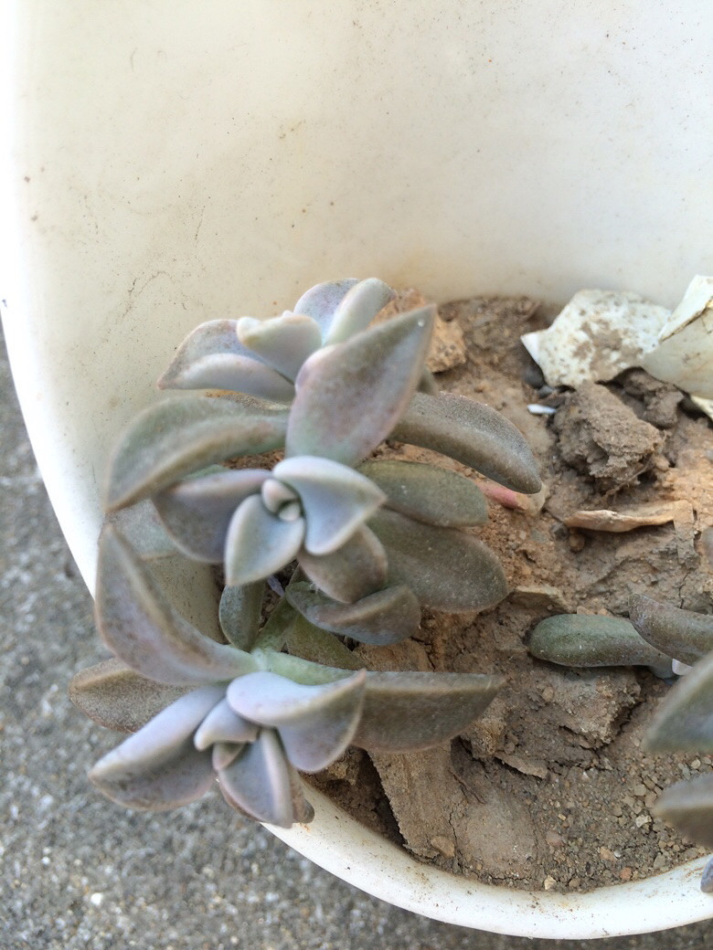 ����֮��������ˣ����ź���Ŷ��