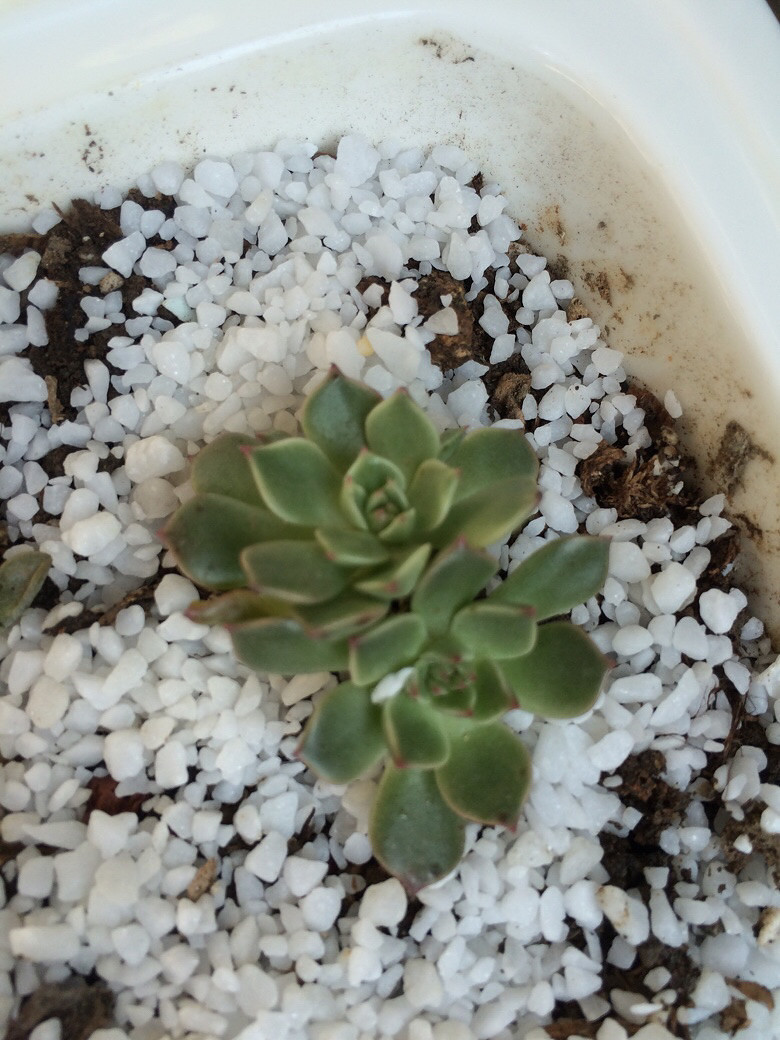 ����֮��������ˣ����ź���Ŷ��