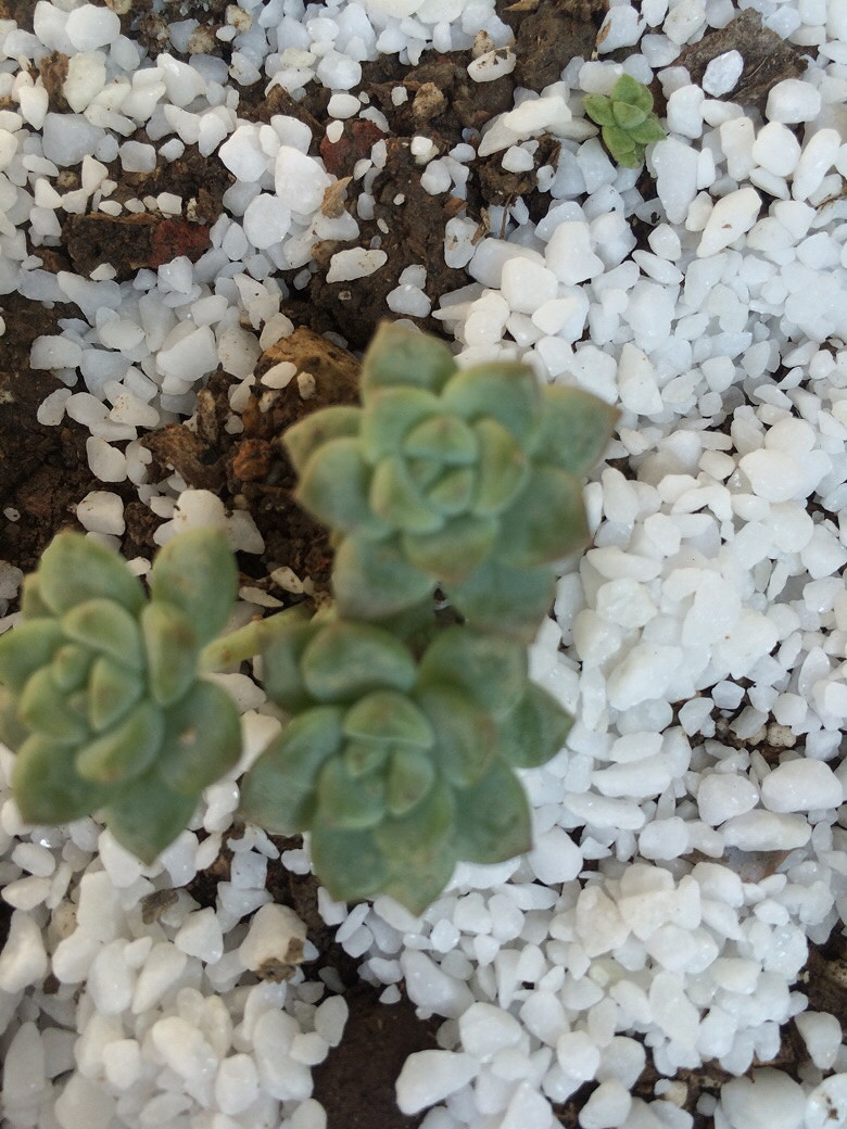 ����֮��������ˣ����ź���Ŷ��