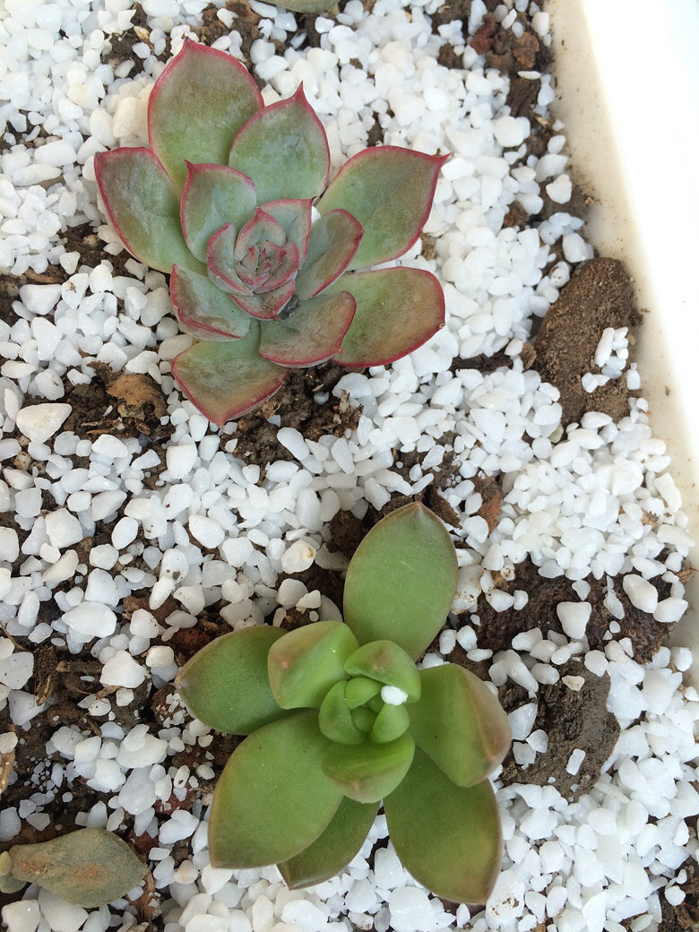 ����֮��������ˣ����ź���Ŷ��